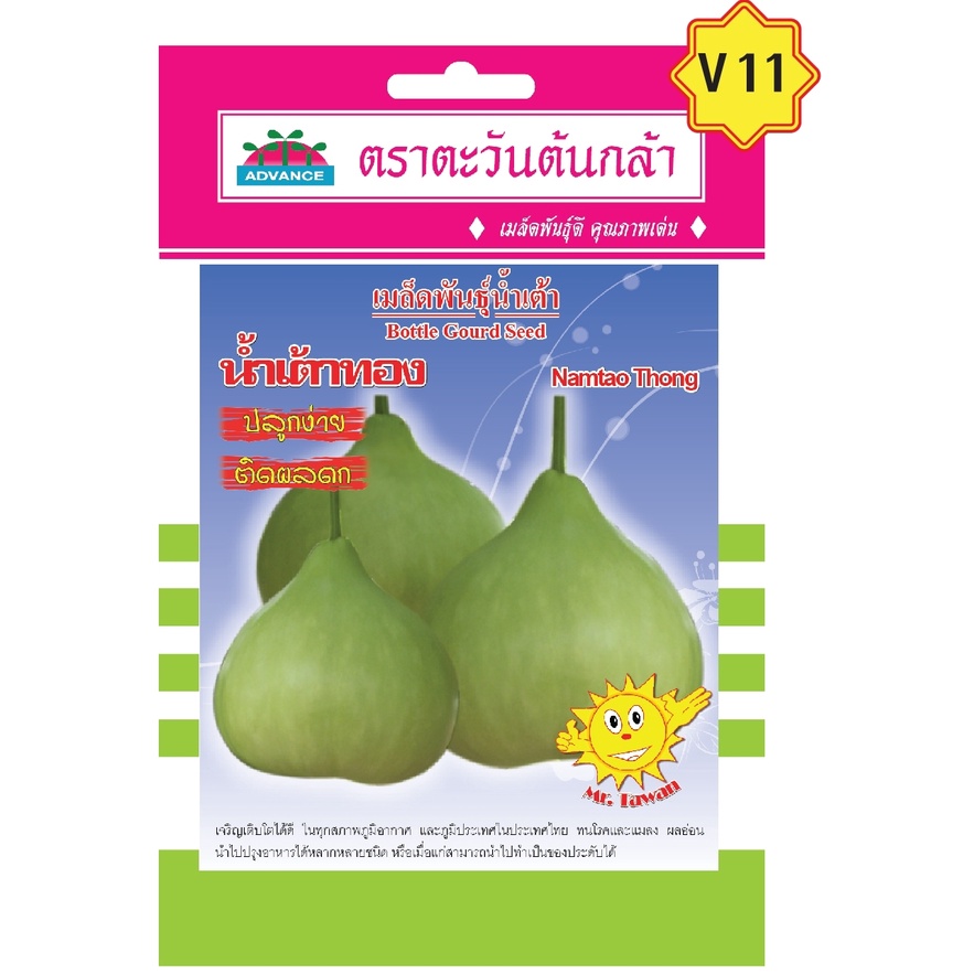 เมล็ดน้ำเต้าทอง-ตราตะวันต้นกล้า