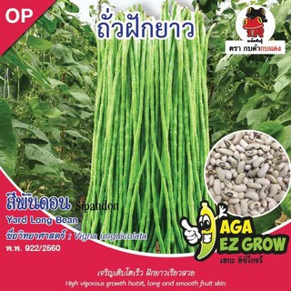 AGA SHOP เมล็ดพันธุ์ถั่วฝักยาวเมล็ดขาว สีพันดอน