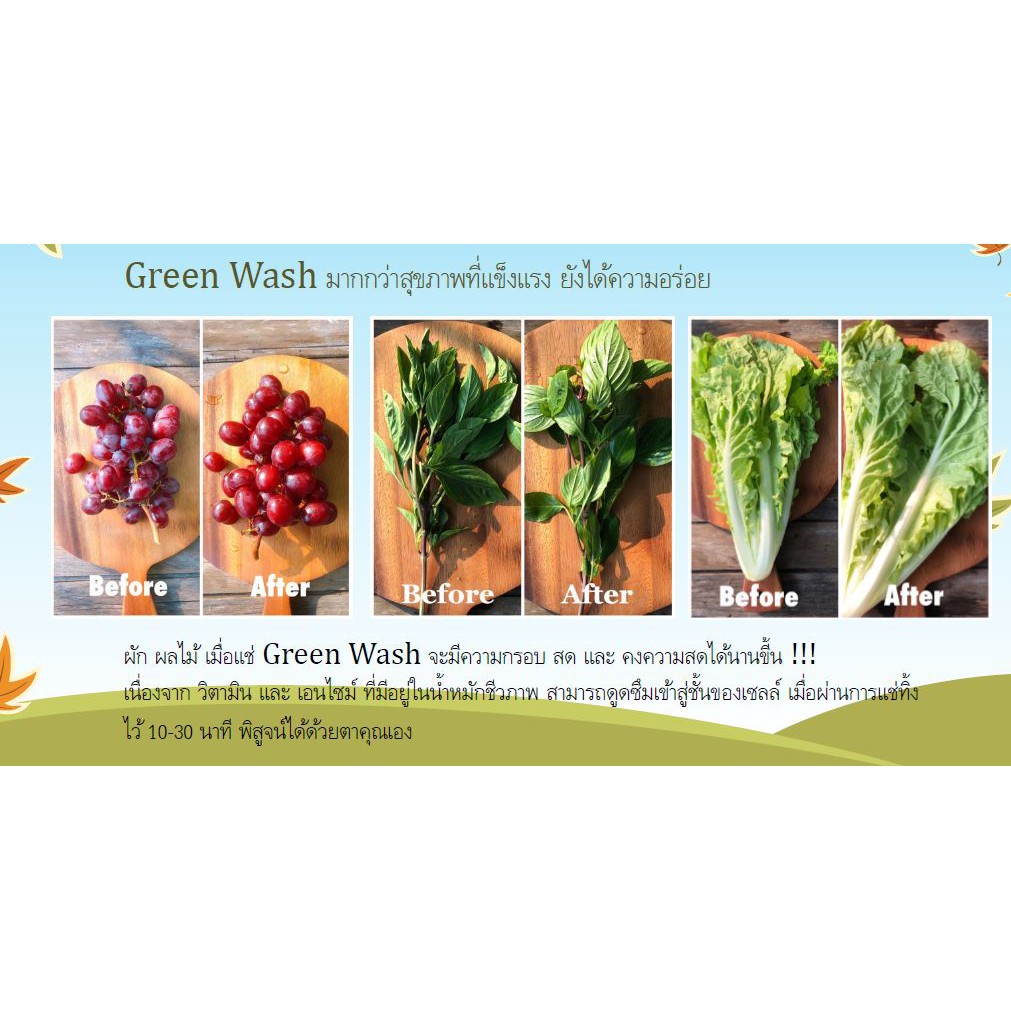 green-wash-น้ำยาล้างผัก-ผลไม้-เนื้อสัตว์-สูตรธรรมชาติ-100-ขวด-400มล-fruit-vegetable-meat-natural-wash-ปราศจากสารเคมี