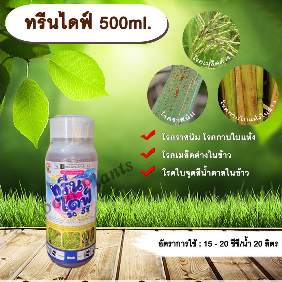 ทรีนไดฟ์-500ml-ไดฟีโนโคนาโซล-โพรพิโคนาโซล-สารกำจัดเชื้อรา-โรคเมล็ดด่าง-โรคราสนิม-โรคใบจุดสีน้ำตาล