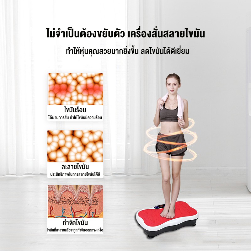 เครื่องสั่นสลายไขมัน-ลดหน้าท้อง-หน้าท้องและแขน-อุปกรณ์ออกกำลังกาย-อุปกรณ์ฟิตเนส-เครื่องออกกำลังกาย-เครื่องสั่นออกกำลังกา