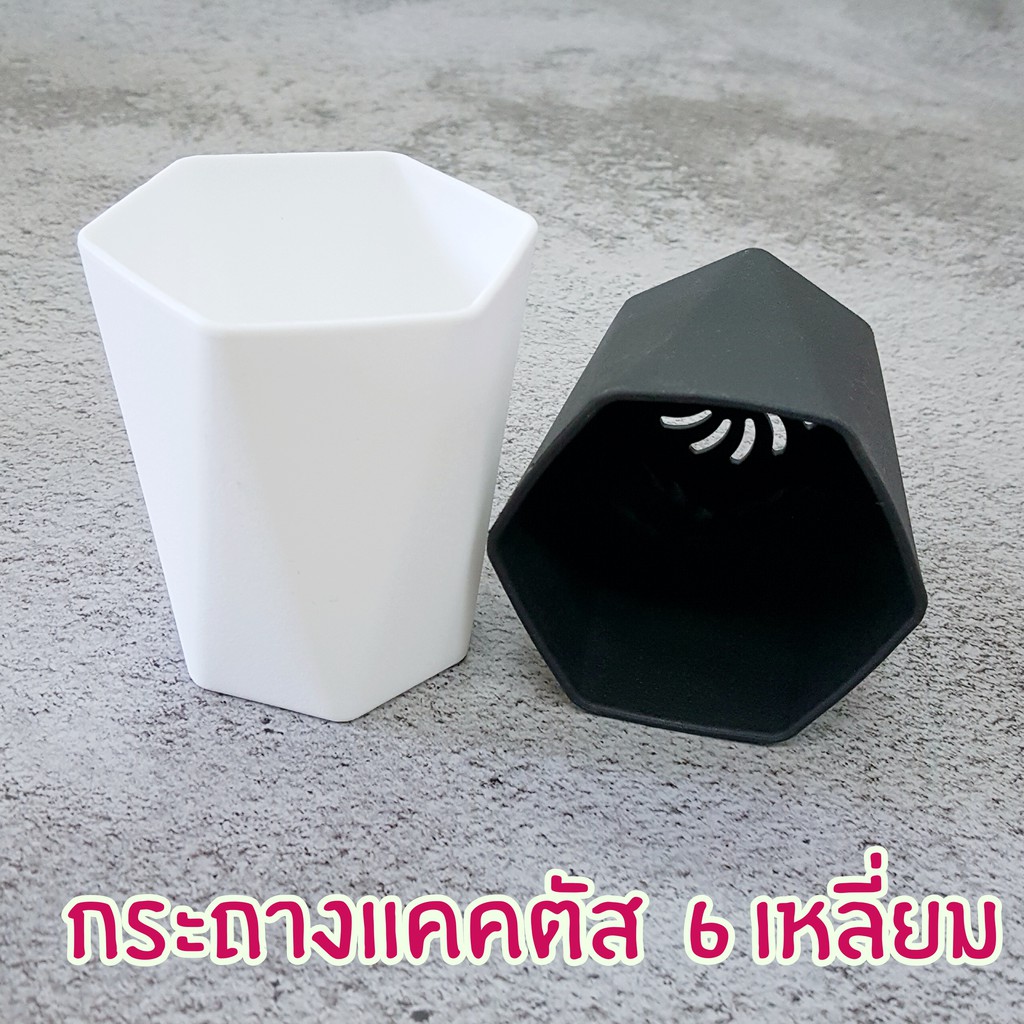 กระถางแคตตัส-กระถางบอนไซ-ทรงญี่ปุ่น-เนื้อหนา-6-เหลี่ยม