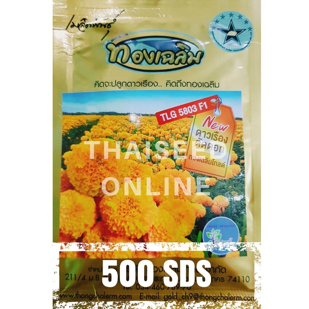 ภาพสินค้าเมล็ดพันธุ์ ดาวเรืองตัดดอก ดาวเรืองทองเฉลิม 5803 500 เมล็ด Marigold Thongchalerm 5803 500Seeds จากร้าน thaiseedonline บน Shopee ภาพที่ 2
