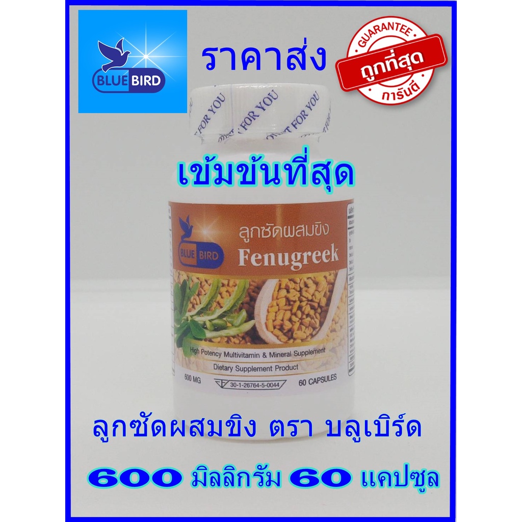 ลูกซัดผสมขิง-fenugreek-ตรา-บลูเบิร์ด-ขนาด-600-มิลลิกรัม-60-แคปซูล