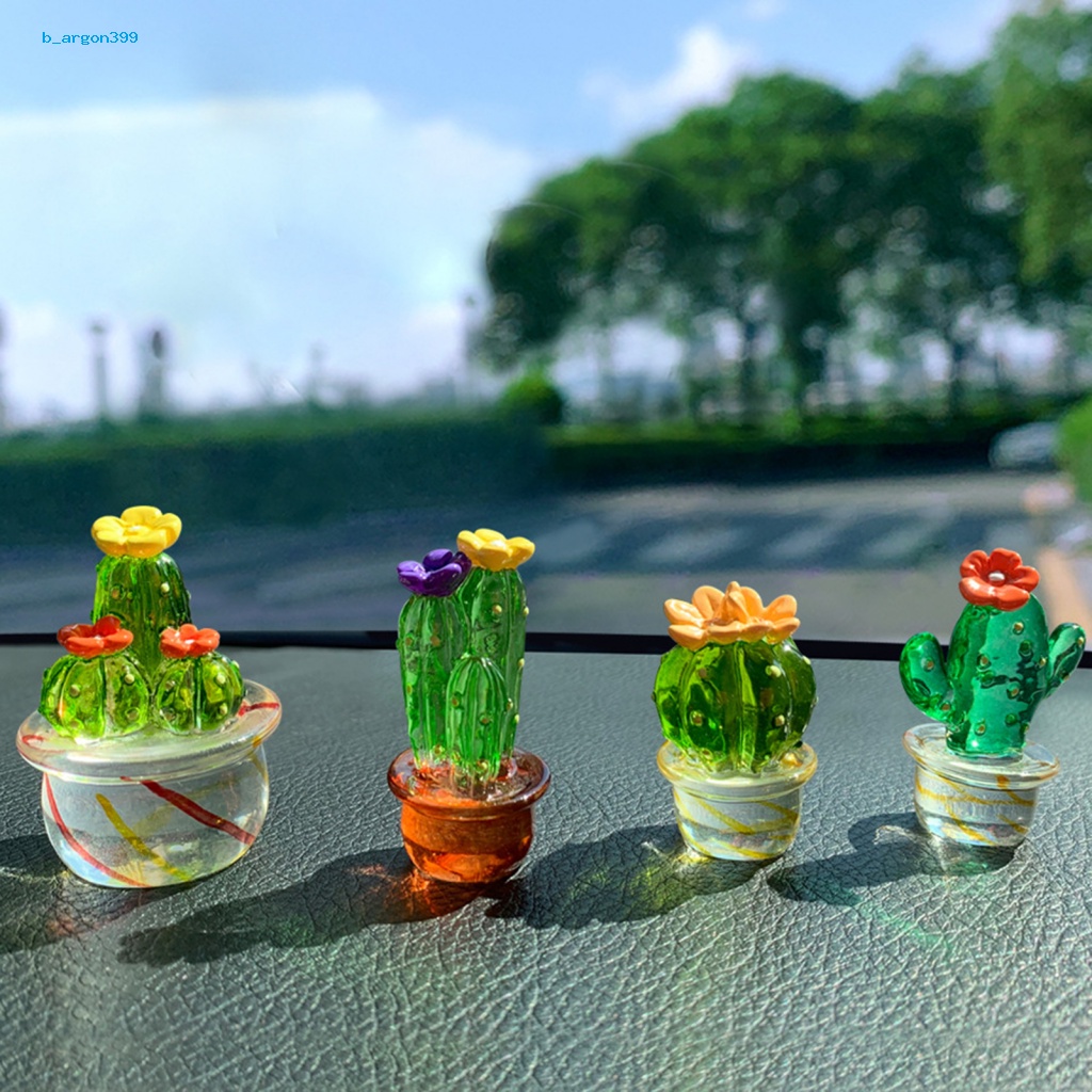 ne-cactus-ornament-transparent-visible-cactus-figurine-eye-catching