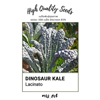 เมล็ดเคล Dinosuar Kale