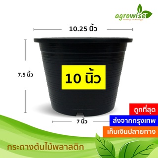 🌵 กระถางต้นไม้พลาสติก ถาดรองกระถาง กระถางต้นไม้ กระถาง สีดำ สีขาว 10 นิ้ว 11 นิ้ว