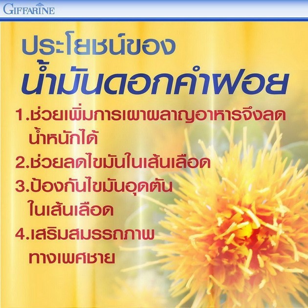 ลดน้ำหนัก-ลดการสะสมของไขมันทั้งเก่าและใหม่-ช่วยเผาผลาญ-ลดเซลล์ลูไลท์-cla900-giffarine-น้ำมันดอกคำฝอย-จะตุฉะ-ชาลดความอ้วน