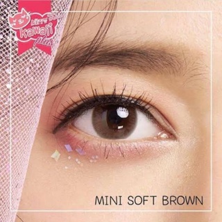 ✨ Mini soft brown (Kitty Kawaii) ขนาดมินิ mini ☀️กรองแสง uv ✔️เลนส์แท้จดทะเบียนถูกต้อง (บิ๊กอาย คอนแทคเลนส์ Bigeye