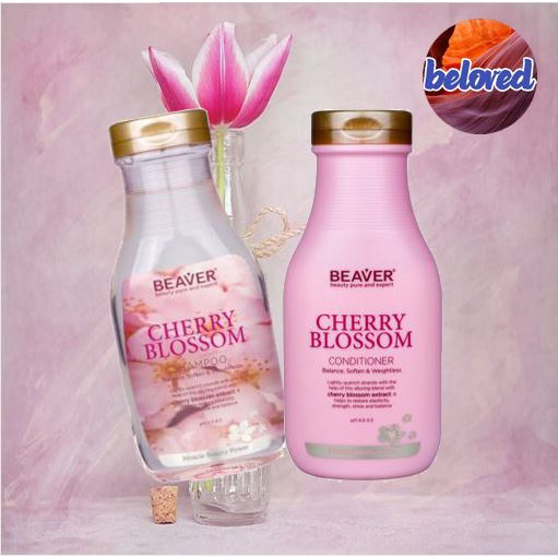 beaver-cherry-blossom-shampoo-conditioner-350-730-แชมพู-และครีมนวดผม-ช่วยกระตุ้นรากผม