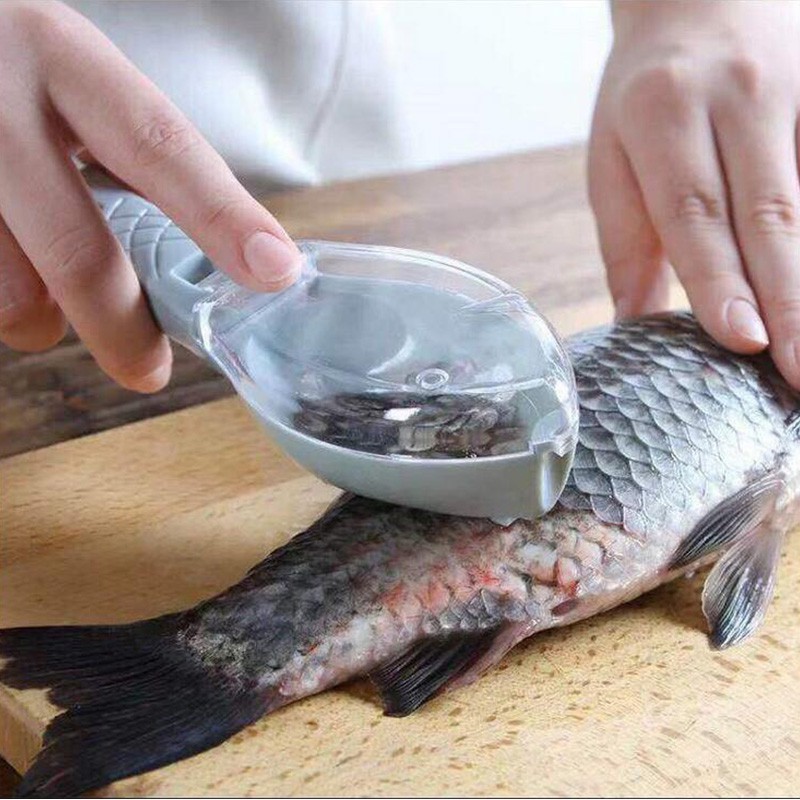 อุปกรณ์ถอดเกล็ดปลา-ของใช้ภายในครัว
