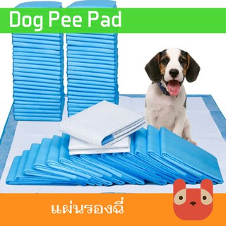Petaholic แผ่นรองซับสุนัข แผ่นรองฉี่ (TL01) Dog Pet Pee Pad