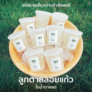 สินค้า ลูกตาลลอยแก้ว ในน้ำตาลสด ส่งด่วนทั่วไทยด้วยรถแช่แข็ง 1 คืนถึง อร่อยมาก เนื้อลูกตาลนุ่ม ในน้ำตาลสด หวานพอดี