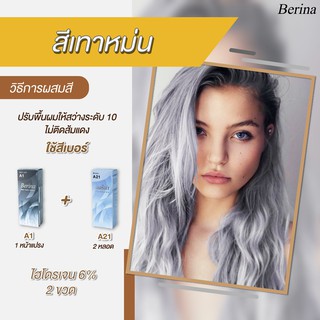 เบอริน่า เซตสี A1+A21 (2กล่อง) สีเทาหม่น สีย้อมผม สีผม ครีมย้อมผม Berina A1+A21 (2กล่อง) Hair Color Cream