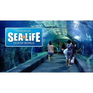 ภาพหน้าปกสินค้า(บัตรกระดาษ) บัตรเข้าชม Sealife + ล่องเรือท้องกระจก + ภาพยนต์ 4D ซีไลฟ์ จากร้าน voucherddbyjoy บน Shopee