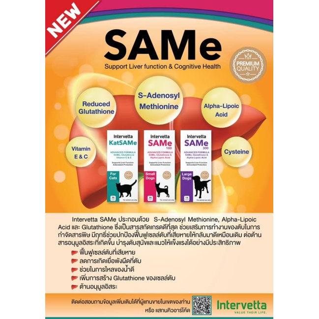 intervetta-same-ช่วยเสริมการทำงานของตับในการกำจัดสารพิษ