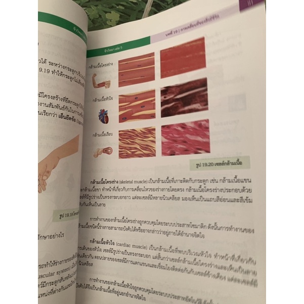 หนังสือ-ชีววิทยา-ม6-เล่ม-5-มือ-2