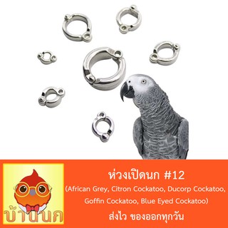 ห่วงเปิดนก #12 ห่วงขานก  แหวนนก (African Grey, Citron Cockatoo, Ducorp Cockatoo, Goffin Cockatoo, Blue Eyed Cockatoo)