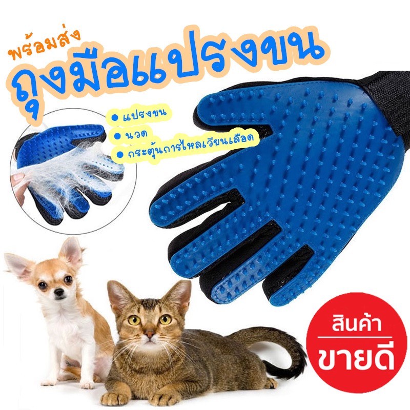 ถุงมือแปรงขน-ถุงมือรูดขนสัตว์-ถุงมือแปรงขนแมว-สุนัข-true-touch-pet-the-hair