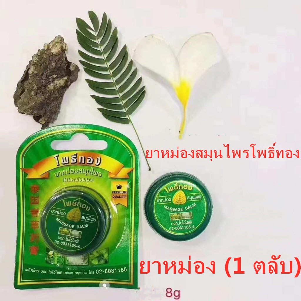 ภาพหน้าปกสินค้ายาหม่องสมุนไพรโพธิ์ทอง 8กรัม (1 ตลับ) Green Herb กรีนเฮิร์บ ยาหม่อง ซื้อ100ชิ้นแถมฟรีตะกร้า