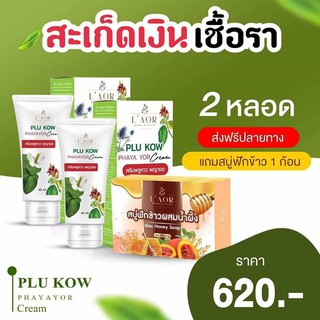 2 หลอดส่งฟรี ผื่นแดง คันตามตัว ครีมพลูคาว พญายอ สมุนไพรแก้แพ้ ผิวแพ้ แพ้เหงื่อ กลาก อีสุกอีใส เกลื้อน รังแค สะสะเก็ดเงิน