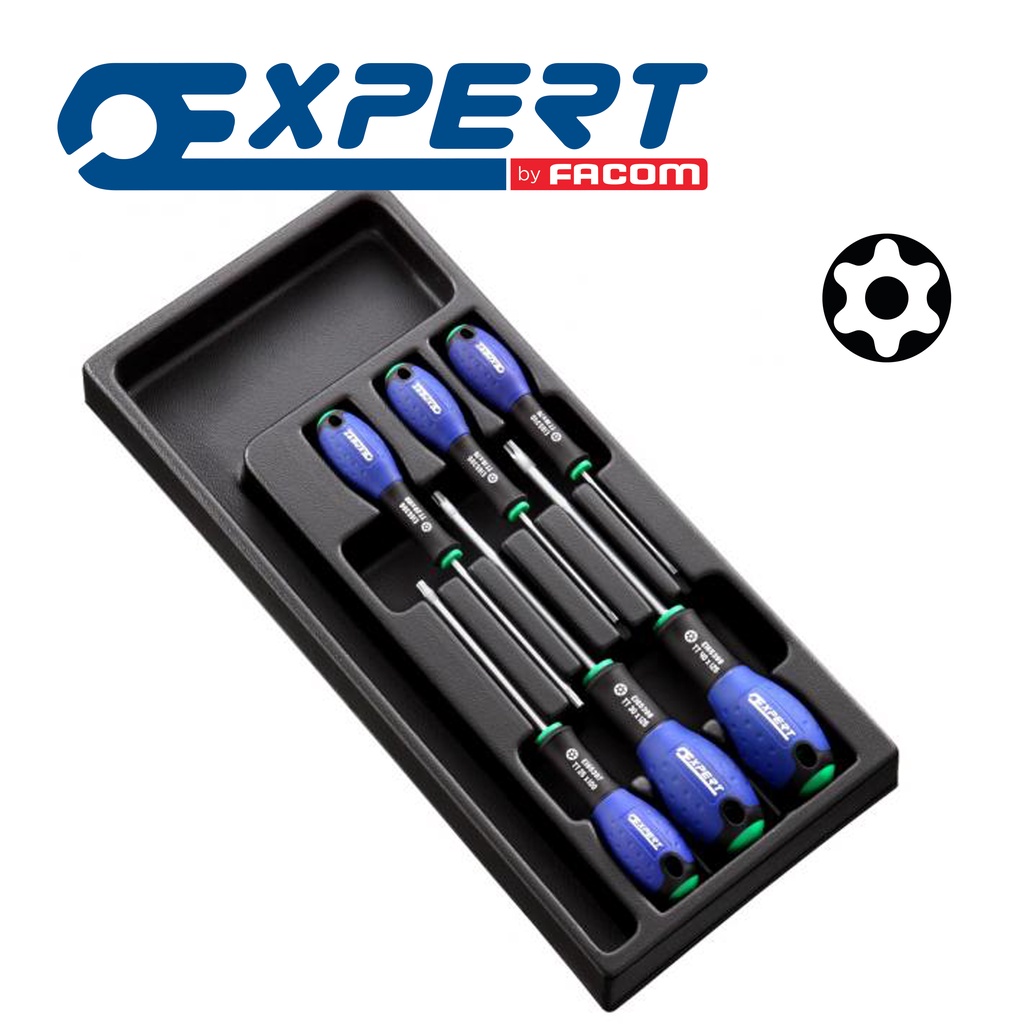Expert ชุดถาดไขควงหัวทอร์ค แบบมีรู (Resistorx) 6 ชิ้น (E194941 ...