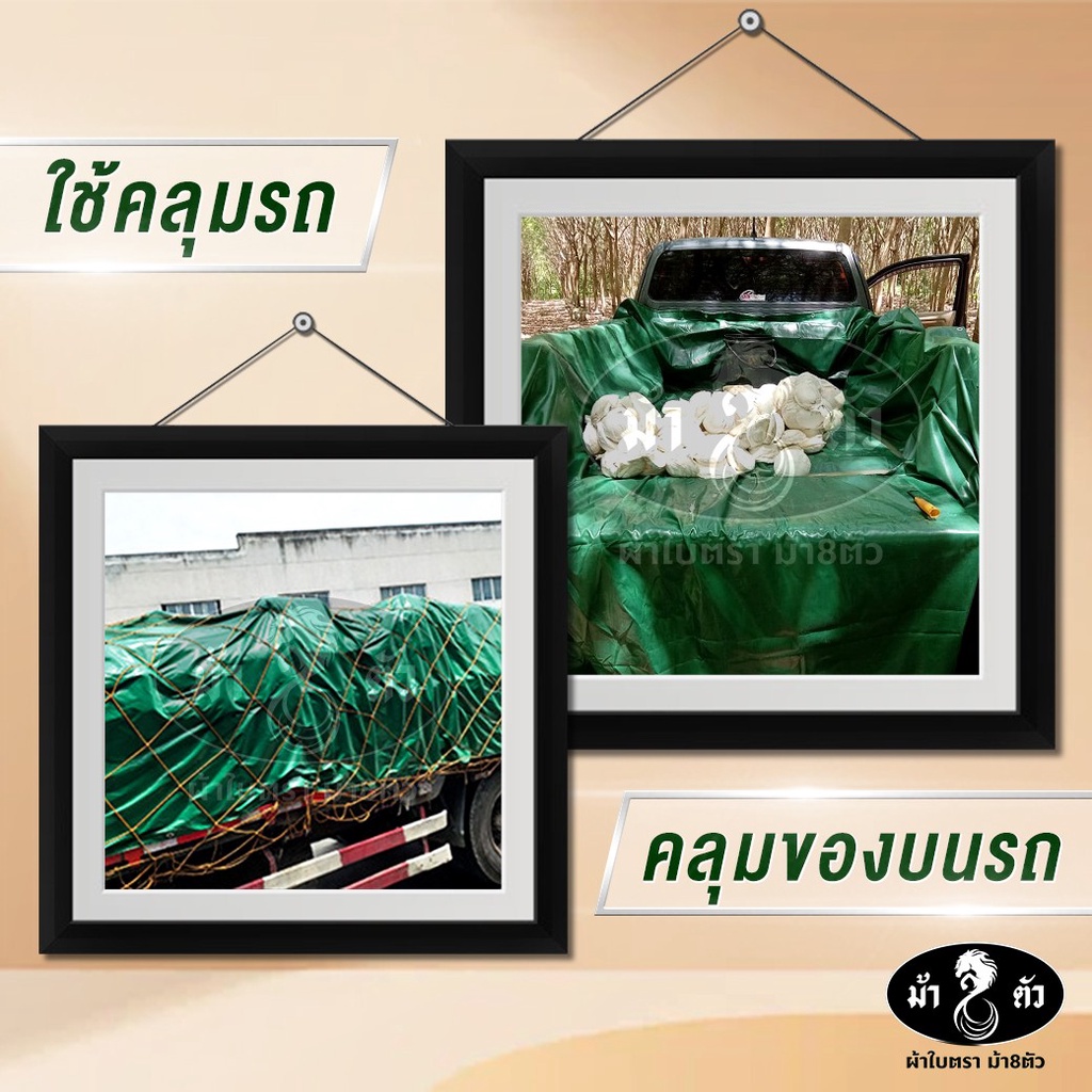 ม้า8ตัว-ผ้าใบกันน้า-pvc-2x4-แบบหนา-0-45-มิล-ผ้าใบกันฝน-ผ้าใบกันแดด-ผ้าใบกันสาด-ผ้าใบคลุมกระบะ-ผ้าใบคลุมรถ-ผ้าใบคูนิล่อน