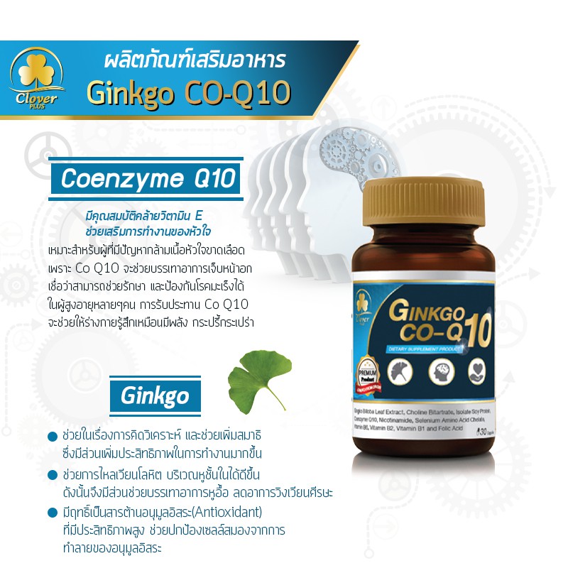 clover-plus-bilberry-and-marigold-complex-บำรุงสายตา-ginkgo-co-q10-บำรุงสมองและหัวใจ