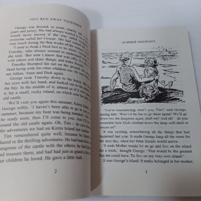The Famous Five Collection - 22 Books (Collection) Enid The Famous Five Collection - 22 Books (Collection) Enid