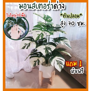 ต้นมอนสเตร่าด่างอัลโบ้ สูง70 cm รุ่น XL ใบใหญ่! /** ต้นไม้ปลอม พร้อมกระถาง+แถมหินโรย!