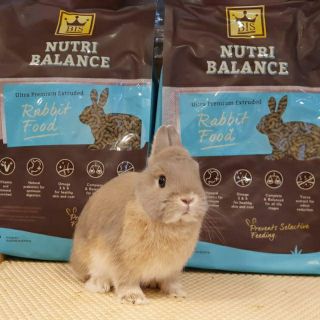 ภาพหน้าปกสินค้าอาหารกระต่าย BIS  -  NUTRIBALANCE ซึ่งคุณอาจชอบสินค้านี้