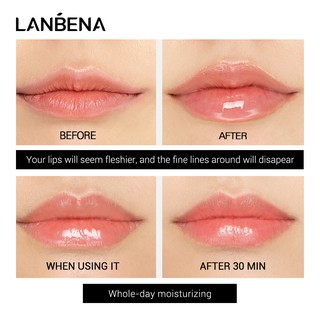 ภาพขนาดย่อของภาพหน้าปกสินค้าLANBENA ลิปสติก เซรั่มปาก บำรุงริมฝีปาก จากร้าน lanbena_mall.th บน Shopee ภาพที่ 4