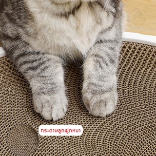 ภาพขนาดย่อของภาพหน้าปกสินค้าที่ลับเล็บแมว รูปอ่าง ที่ฝนเล็บแมว ของเล่นแมว เป็นที่นอนแมวไปในตัว จากร้าน catto_store บน Shopee ภาพที่ 6