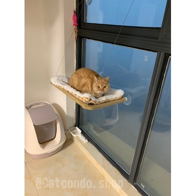 ภาพสินค้า️เปลแมว ที่นอนแมว บ้านแมว เปลติดกระจก เปลแมวติดกระจก ️ จากร้าน ratimapeem บน Shopee ภาพที่ 3