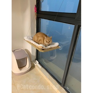 ภาพขนาดย่อของภาพหน้าปกสินค้า️เปลแมว ที่นอนแมว บ้านแมว เปลติดกระจก เปลแมวติดกระจก ️ จากร้าน ratimapeem บน Shopee ภาพที่ 3