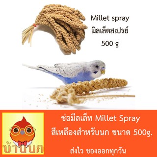 ช่อมีลเล็ท Millet Spray สีเหลืองสำหรับนก ขนาด 500g.