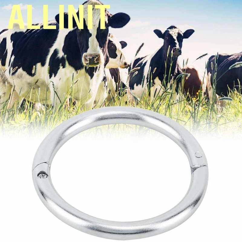 allinit-bovine-แหวนสเตนเลสจมูกวัว-อุปกรณ์เสริมสําหรับคู่แต่งงาน