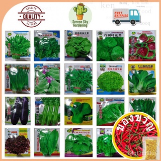 SS Gardening Imported Vegetable Fruit Seeds Pelbagai Jenis Benih Sayur Buah Page 3园艺/头饰/通心菜/苹果/玫瑰/手链/男装/内裤/生菜/母婴/ GC2P