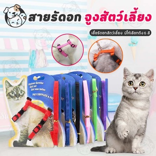 สินค้า สายจูงรัดอก สายจูงแมว สายจูงสุนัข สายรัดอกสัตว์เลียง สายจูงสัตว์เลียง สายจูงกระต่าย สายจูงสองวรรค