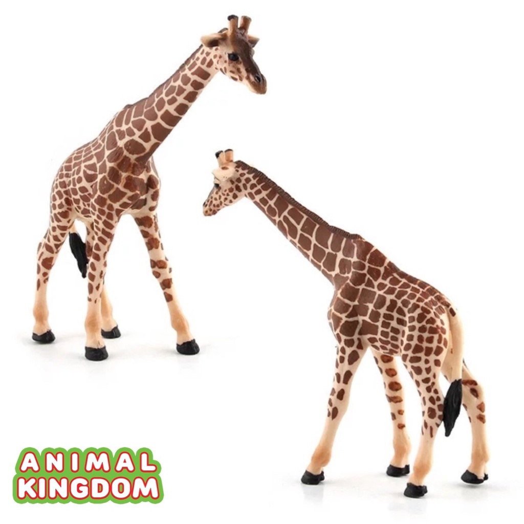 animal-kingdom-โมเดลสัตว์-ยีราฟ-พ่อแม่ลูก-ชุด-3-ตัว-aa-จากหาดใหญ่