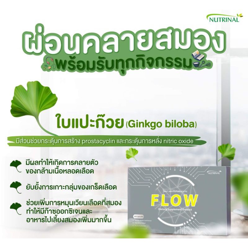 flow-ความจำดีเพิ่มพลังสมอง-บำรุงสมองและระบบประสาท