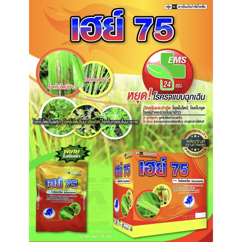 เฮย์75-ไตรไซคลาโซล-75-โรคใบไหม้ในพริก-โรคใบไหม้ในมะเขือเทศ-โรคใบกรอบในมะละกอ