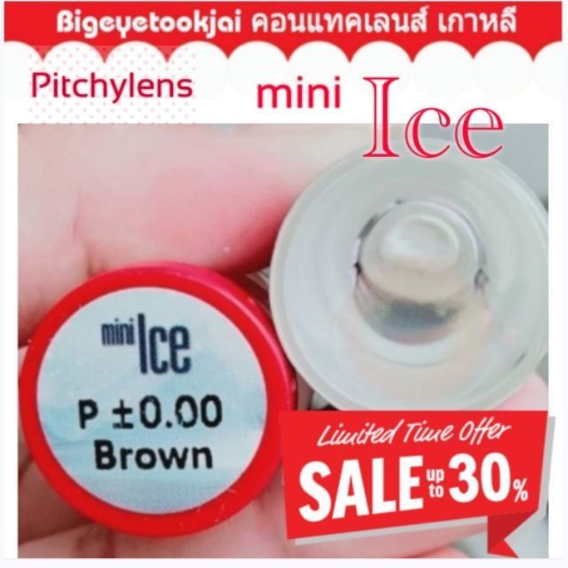 mini-big-ice-apisada-pitchylens-sweety-brown-gray-contactlens-บิ๊กอาย-คอนแทคเลนส์-ราคาถูก-แถมตลับฟรี