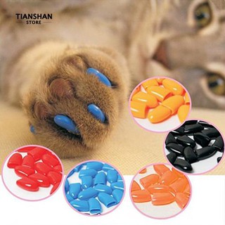 ภาพหน้าปกสินค้าTianshan 20Pcs แมวสัตว์เลี้ยงนุ่ม Cat แมว Kitten Paw Claws ควบคุม Nail Caps ครอบคลุมอุปกรณ์เสริมสำหรับสัตว์เลี้ยง ที่เกี่ยวข้อง