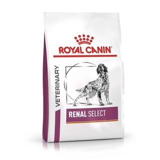 Royal Canin Renal select 2 kg. อาหารสำหรับสุนัขโรคไต