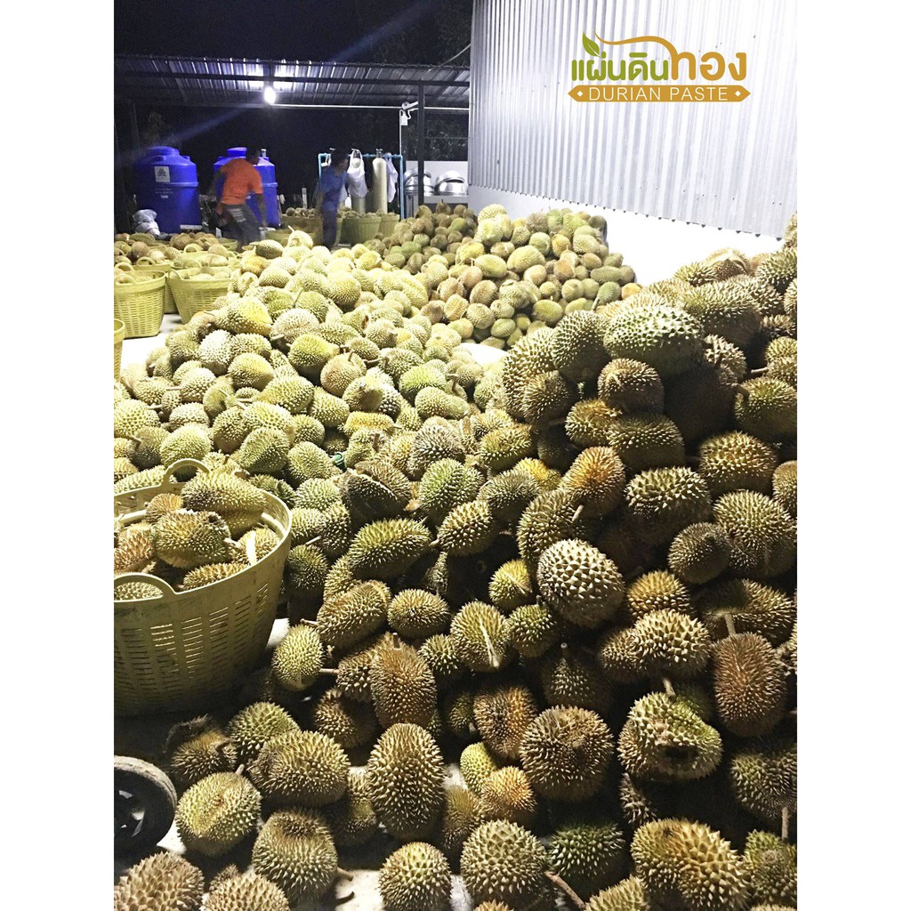 ทุเรียนกวนแผ่นดินทอง-ขนมทุเรียนกวน-500g-เนื้อทุเรียนแท้จากสวนบนภูเขาสูตรโบราณ-และไร้น้ำตาล-สะอาด-ถูกหลักอนามัย-ปลอดภัย