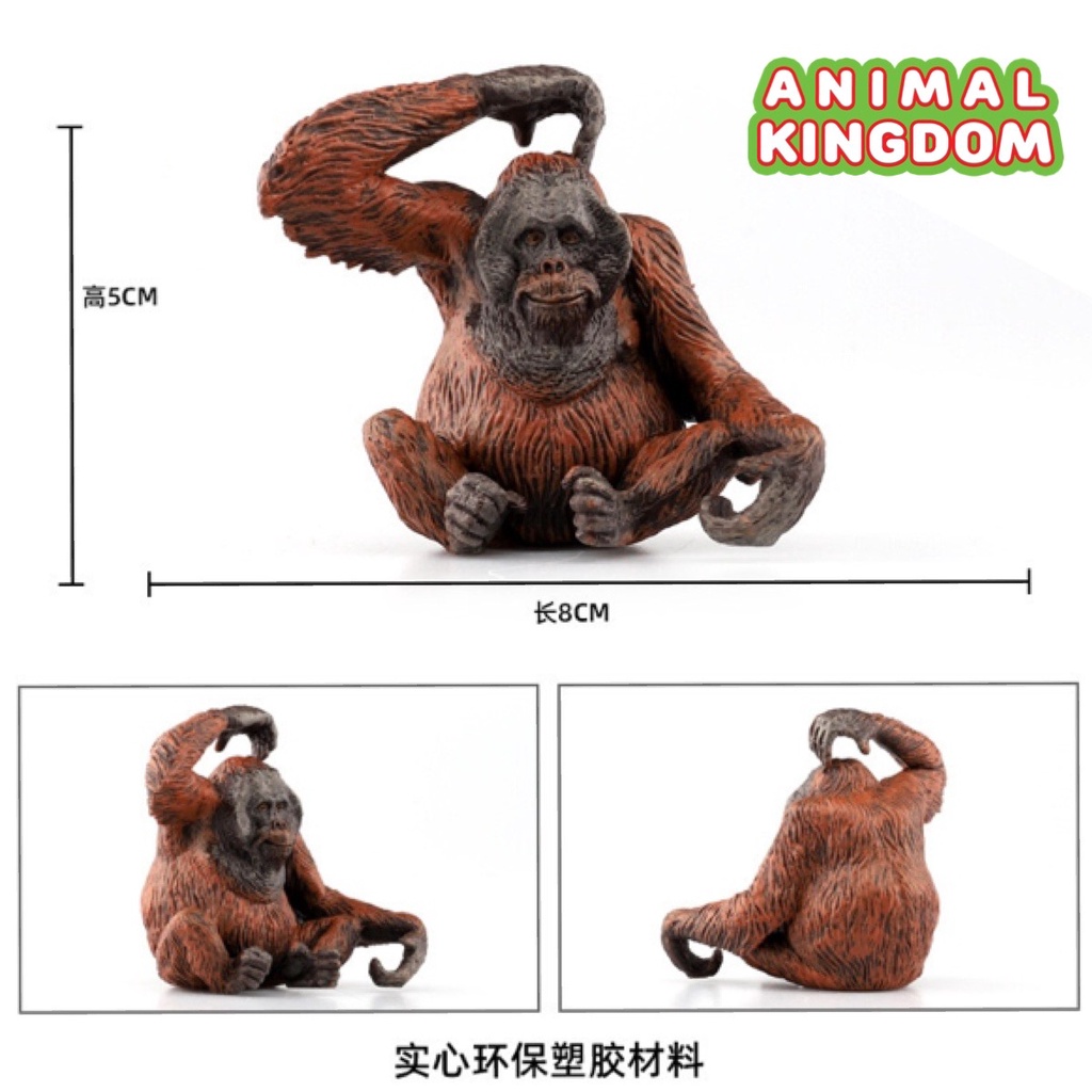 animal-kingdom-โมเดลสัตว์-ลิง-อุรังอุตัง-ขนาด-8-00-cm-จากหาดใหญ่