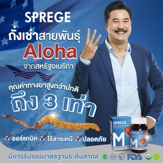 ภาพขนาดย่อของภาพหน้าปกสินค้า5.15( ลดเพิ่ม300) SPREGE สเปิร์ก ถังเช่าสกัด ลดต่อมลูกหมากโต จากร้าน beprothailand บน Shopee ภาพที่ 3