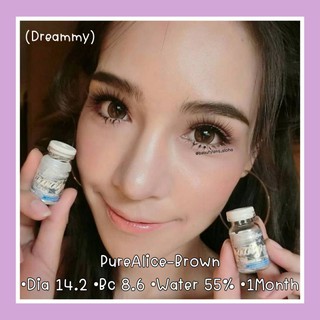 💜PureAlice(Dreammy)-Brown ☆โตแบ๊ว☆สายตา 00-700☆รายเดือน