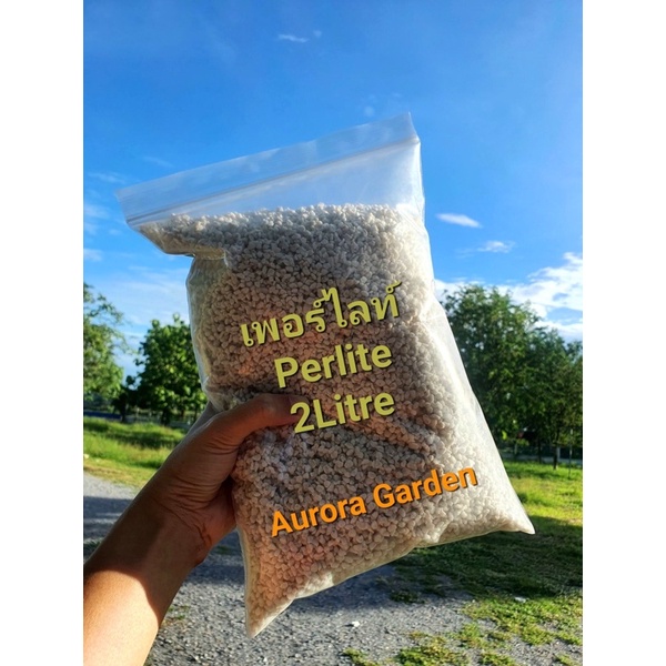 perlite-เพอร์ไลท์-วัสดุปลูกต้นไม้-ช่วยให้ดินมีความโปร่ง-ไม่แน่นเกินไป